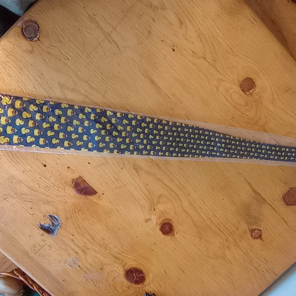Derby Duckwear 100% Silk Graphic Print Tie New